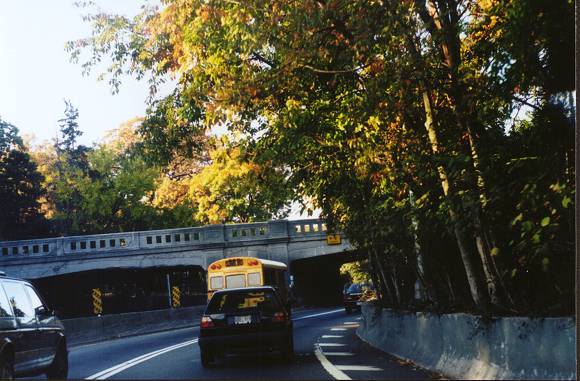 Jackie Robinson Parkway Cypress Hills Cemetery West II Image 0