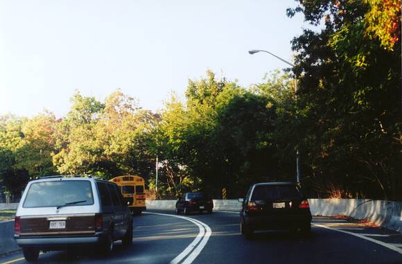 Jackie Robinson Parkway Cypress Hills Cemetery West II Image 1