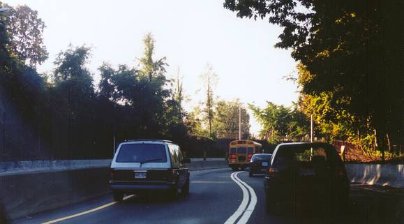 Jackie Robinson Parkway Cypress Hills Cemetery West II Image 2