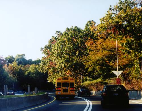 Jackie Robinson Parkway Cypress Hills Cemetery Bend West Image 3