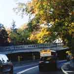 Jackie Robinson Parkway Cypress Hills Cemetery West II